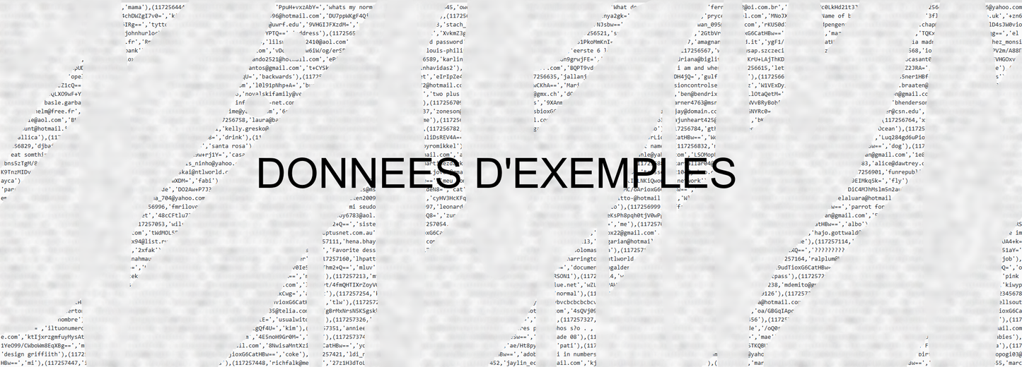 Service de recherche sur vos données personnelles